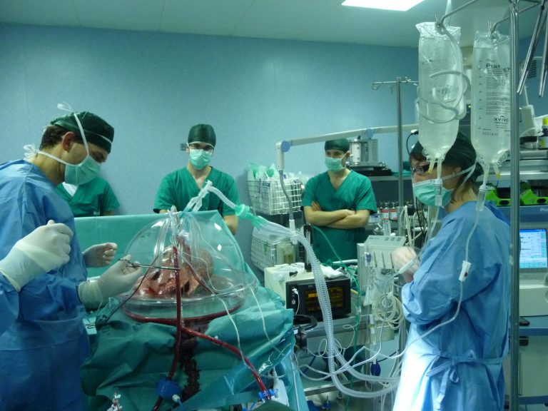 Primo doppio trapianto fegato-polmoni su paziente pediatrico in Italia