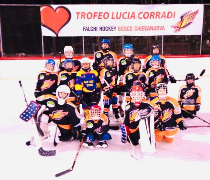 Hokey Falchi Bosco
