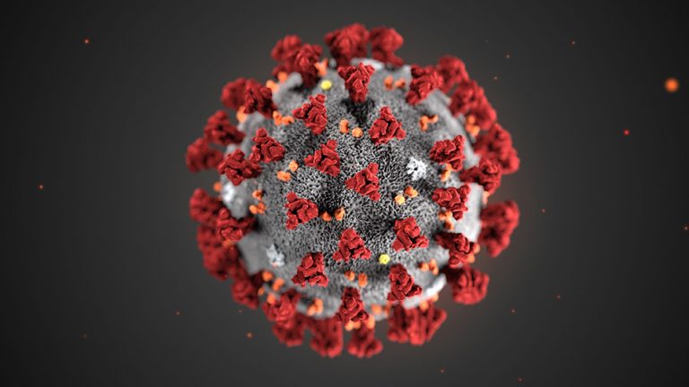 Coronavirus: aggiornamenti in tempo reale