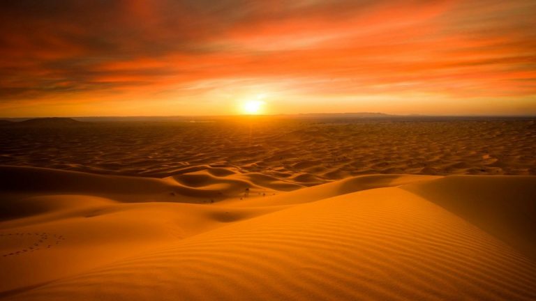 Pesci nel Sahara: la scoperta degli archeologi belgi e italiani
