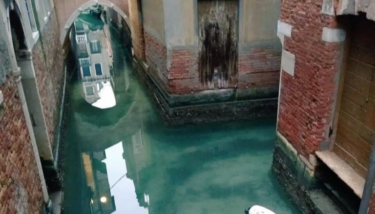 Venice: the canals are clear for the first time in a very long time