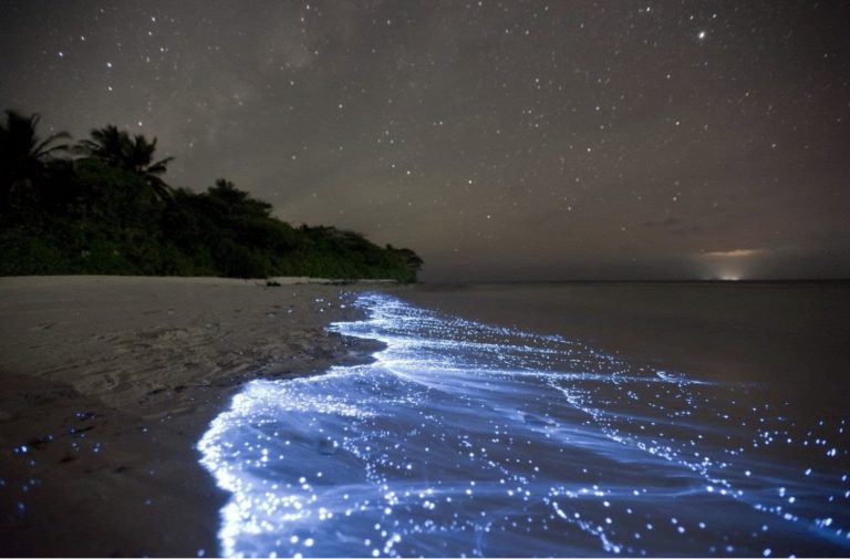 L’isola Vaadhoo, dove il mare si dipinge di blu