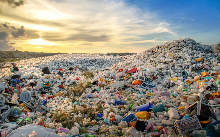 Il batterio capace di decomporre la plastica