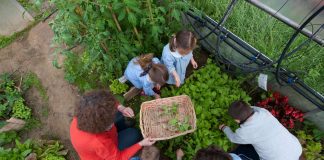 Maria De Biase e la sua idea di innovazione tra i banchi
