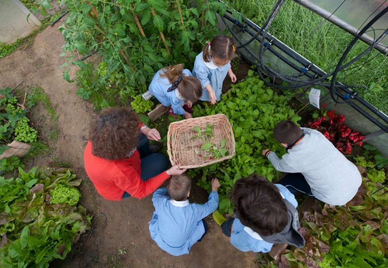 Maria De Biase e la sua idea di innovazione tra i banchi