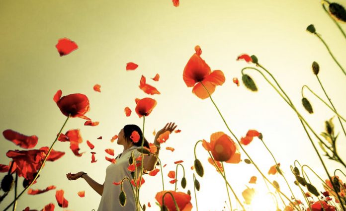 9C7434C7-42E7-4774-8E64-D5A0CDC9C52E