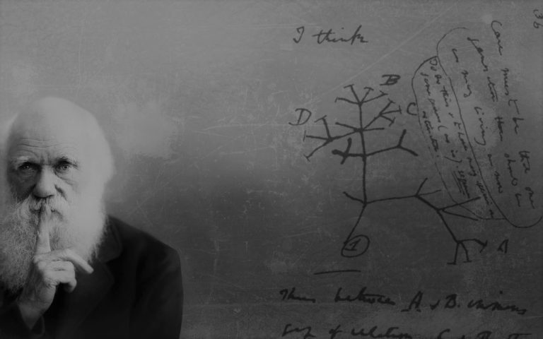 Il padre della teoria dell’evoluzione: Charles Darwin