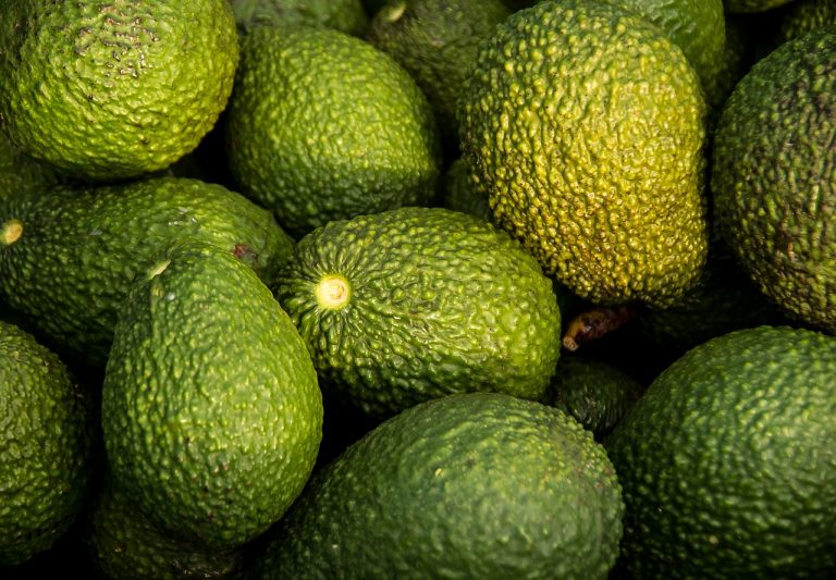 Avocado: un superfood a quale prezzo?