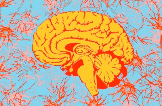 5cd180556981c05ced38a8dbd4fcf87c