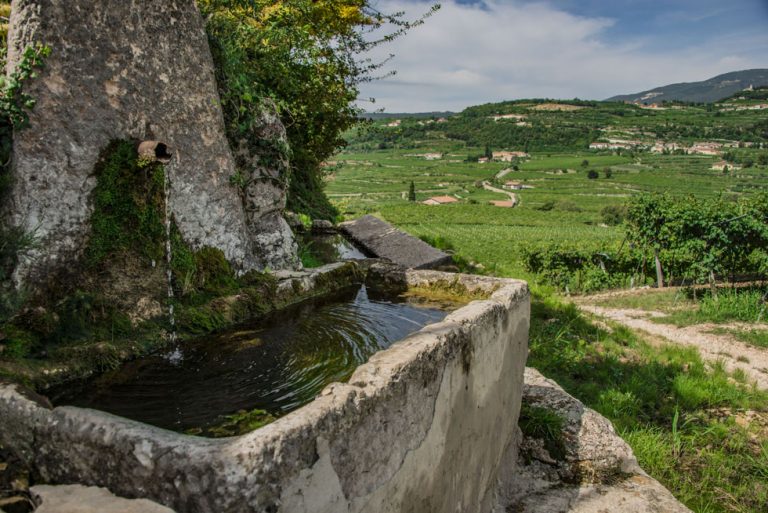 Itinerari della Valpolicella