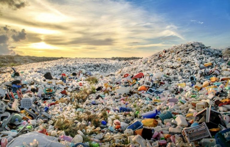 Salvare la Terra non è più solo un desiderio, ma una necessità