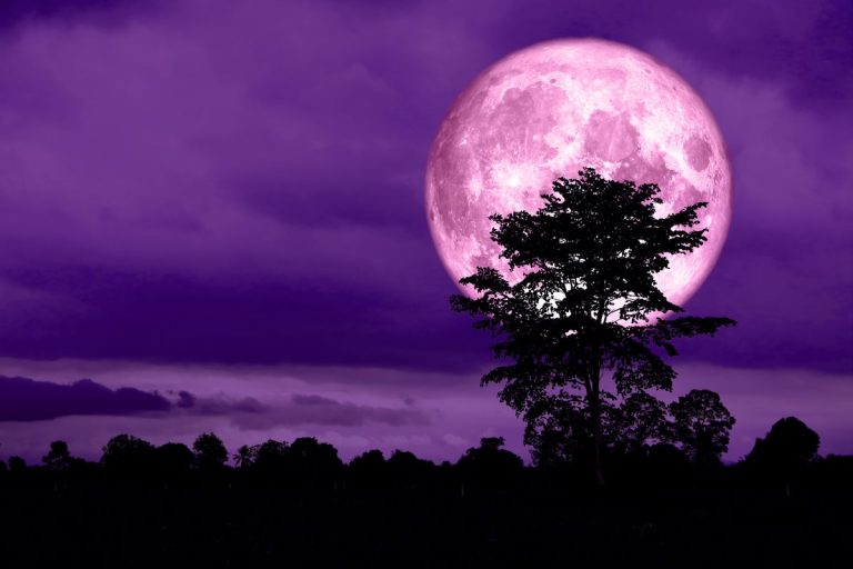 Spettacolo nei cieli: la Superluna rosa