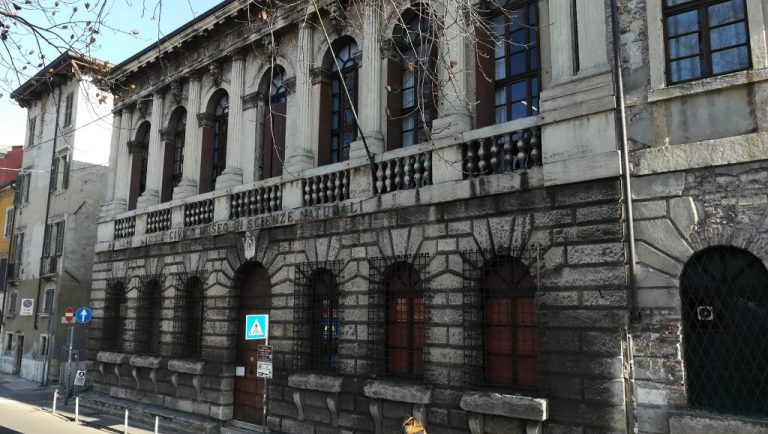 Il Museo di Storia Naturale di Verona