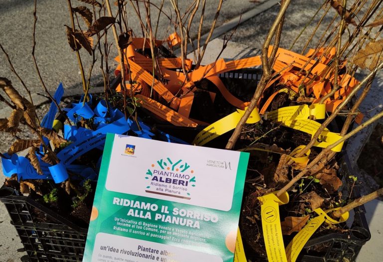 Giornata nazionale dell’Albero, successo a San Pietro di Lavagno