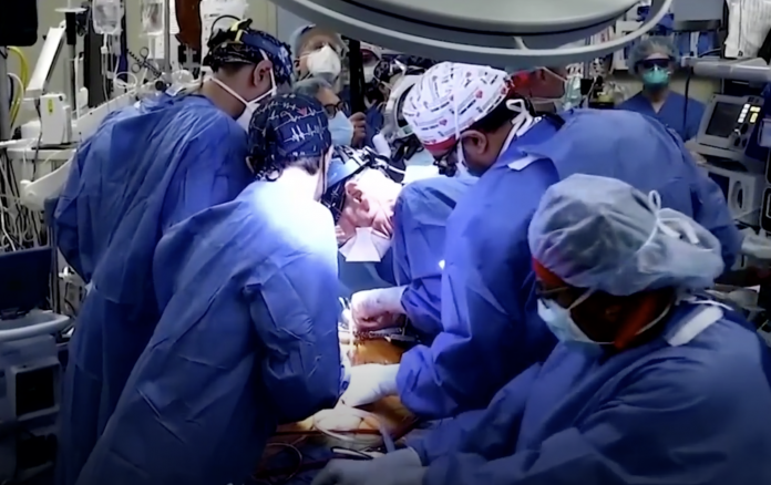 Cuore di maiale L'operazione realizzata a Baltimora.