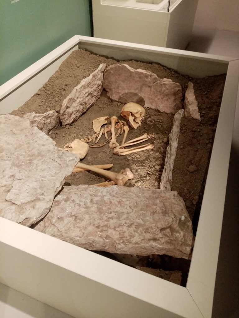 Immersi nella Preistoria al Museo Archeologico Nazionale di Verona