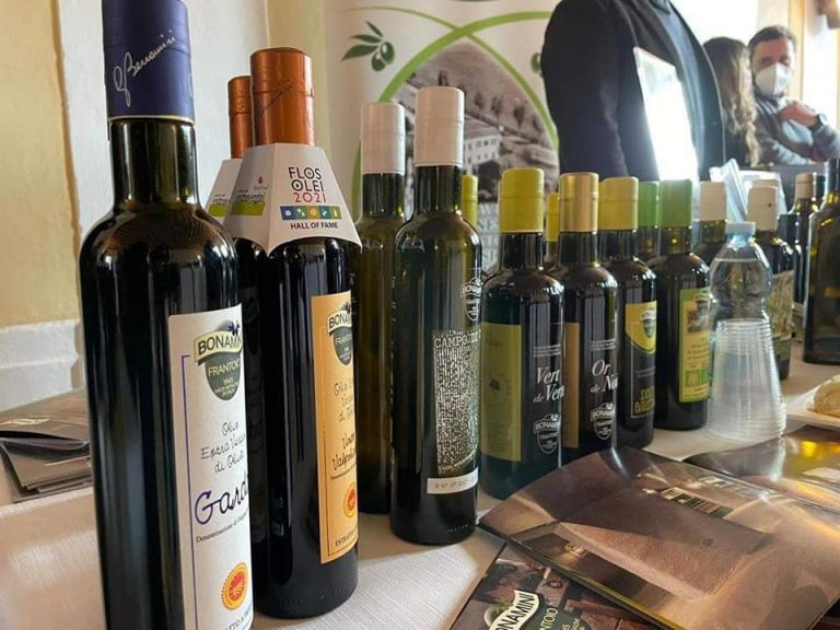 Mezzane di Sotto, successo per il Convegno Internazionale sull’olivicoltura
