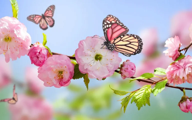 Come veniva calcolato l’inizio della primavera nell’Antica Roma?