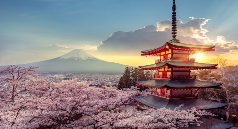 Hanami: l’arte di osservare i fiori (anche a Verona)