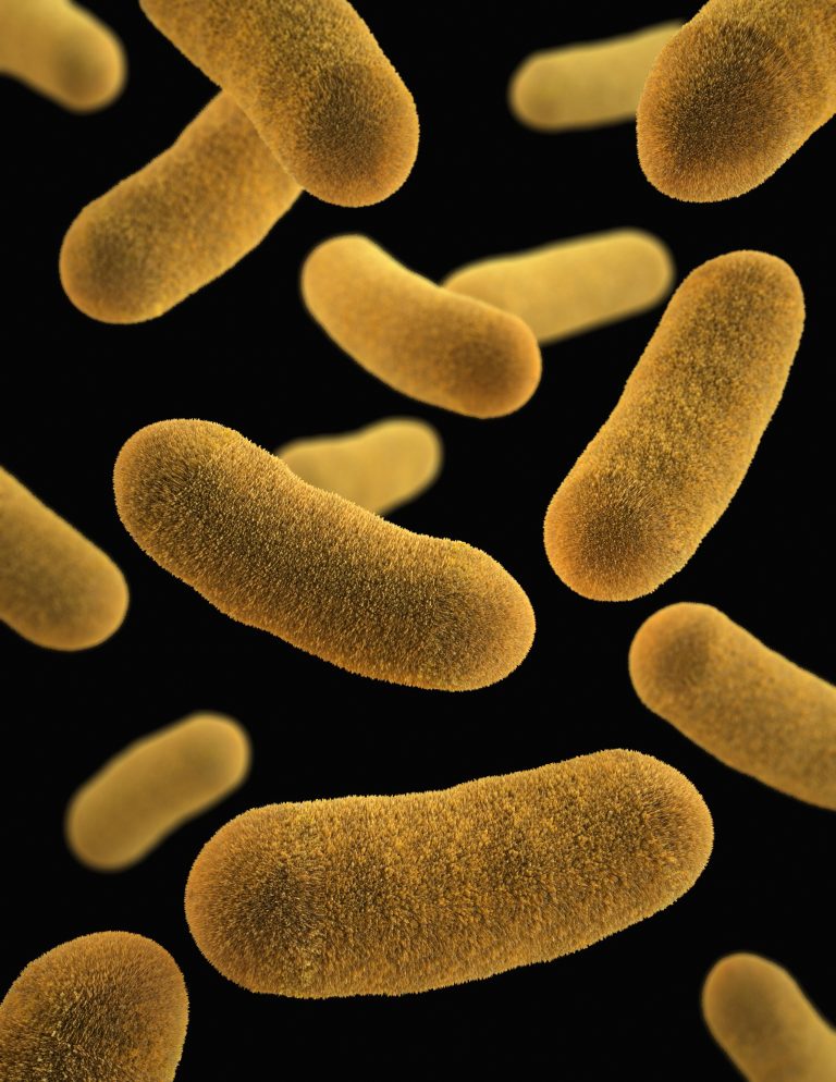 Batteri sempre più resistenti agli antibiotici