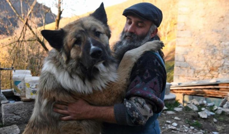 I lupi scacciati dal grande Gazunt