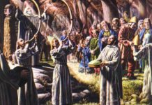 Who were Druids?