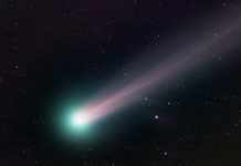 Dopo 50 mila anni torna la cometa che videro gli uomini di Neanderthal