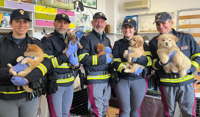 Polizia stradale di Savona