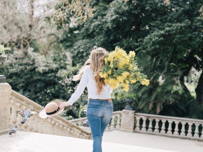 mimose