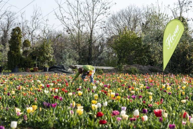 Flover farm