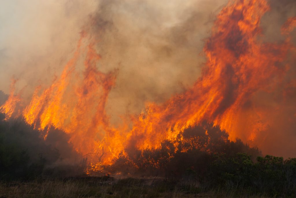 L’immagine di un incendio causato dal riscaldamento globale