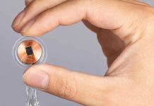 Neuralink: un chip rivoluzionario entra nel cervello umano