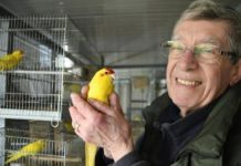 I pappagalli diventati delle leggende Gianandrea Boifava con uno dei suoi pappagalli