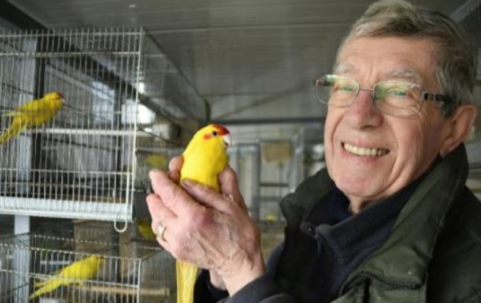 Screenshot_20250130_195546_Gallery Gianandrea Boifava con uno dei suoi pappagalli