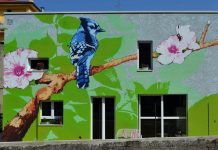 Un fascio di colori nella periferia di Verona La Casa col Colibrì, dal sito ufficiale di Goodwall Studio