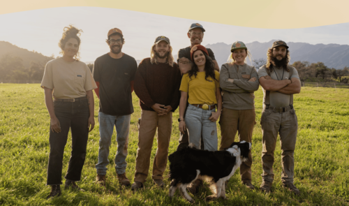 I ragazzi dello Sheepherdess Land and Livestock, California, volontari, pastori