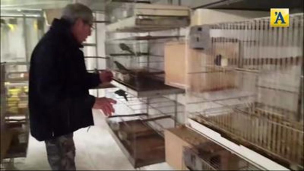 Gianandrea Boifava con i suoi pappagalli