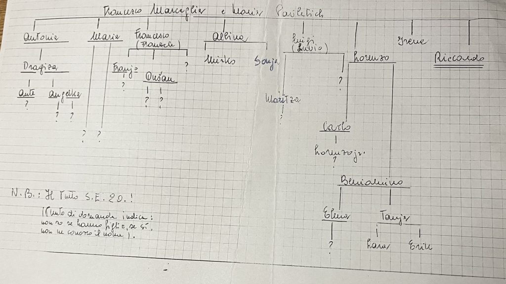 L'albero genealogico della famiglia Marceglia