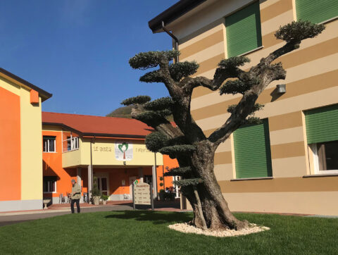 Cooperativa Moscleda