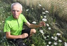 Silvio Scandolara, un amore per la natura vissuto, fotografato e condiviso