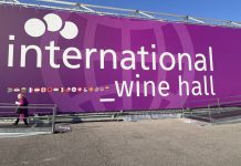 Vinitaly 2025: il bilancio di questa fiera colma di incognite