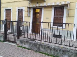 Il volontariato a Verona: dove il lavoro diventa un gesto d’aiuto