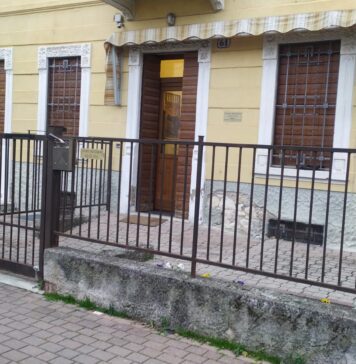 Il volontariato a Verona: dove il lavoro diventa un gesto d’aiuto