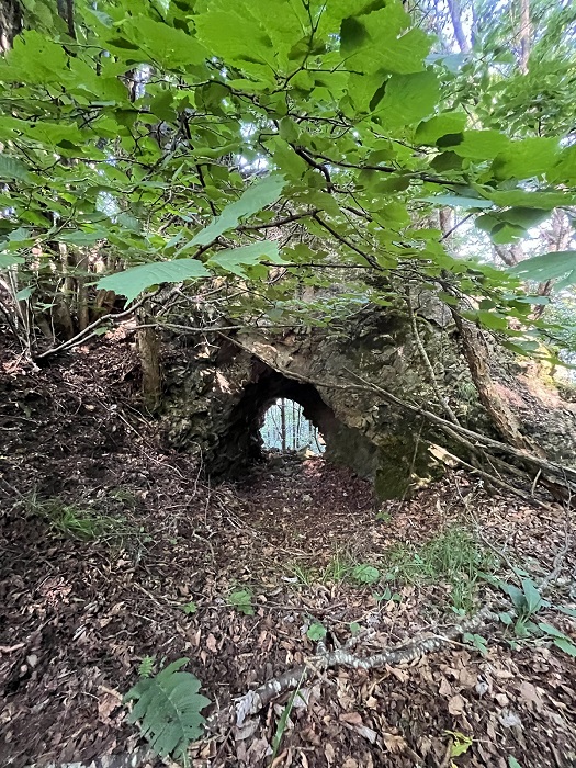 Nido di mitragliatrice a difesa di Passo Buole.