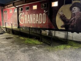 Alberto Bronzato: da una passione innata per il teatro, alla scuola Granbadò