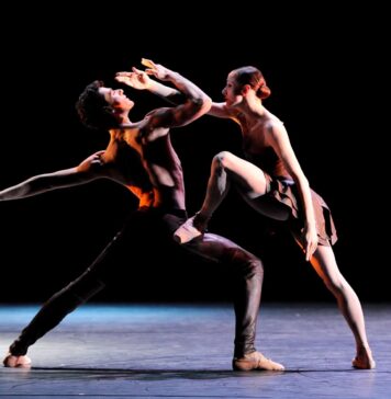 Damiano Pettenella: dalla Valpantena al Teatro alla Scala